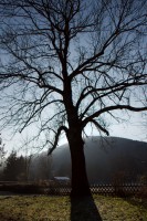 dsc06895.jpg: 532x800, 271k (April 23, 2014, at 09:17 AM EST)